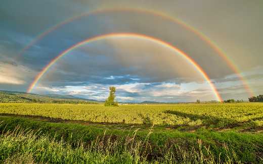 Image of a double rainbow in the sky