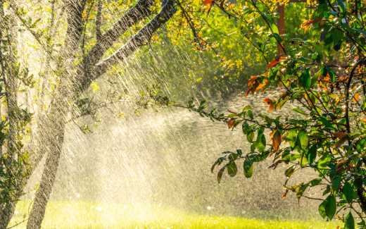 Image of a downpour in Octagon Springs Park