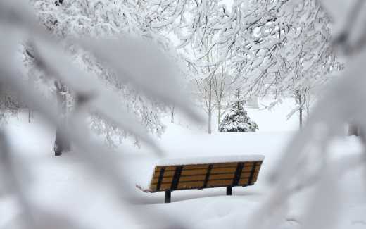 Image of snow covering trees, a park bench, and the ground